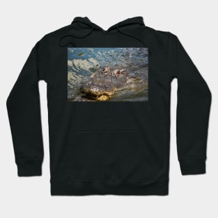 South Orange of Alligator Hoodie